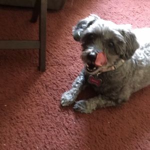 Meet your Posher, Mae